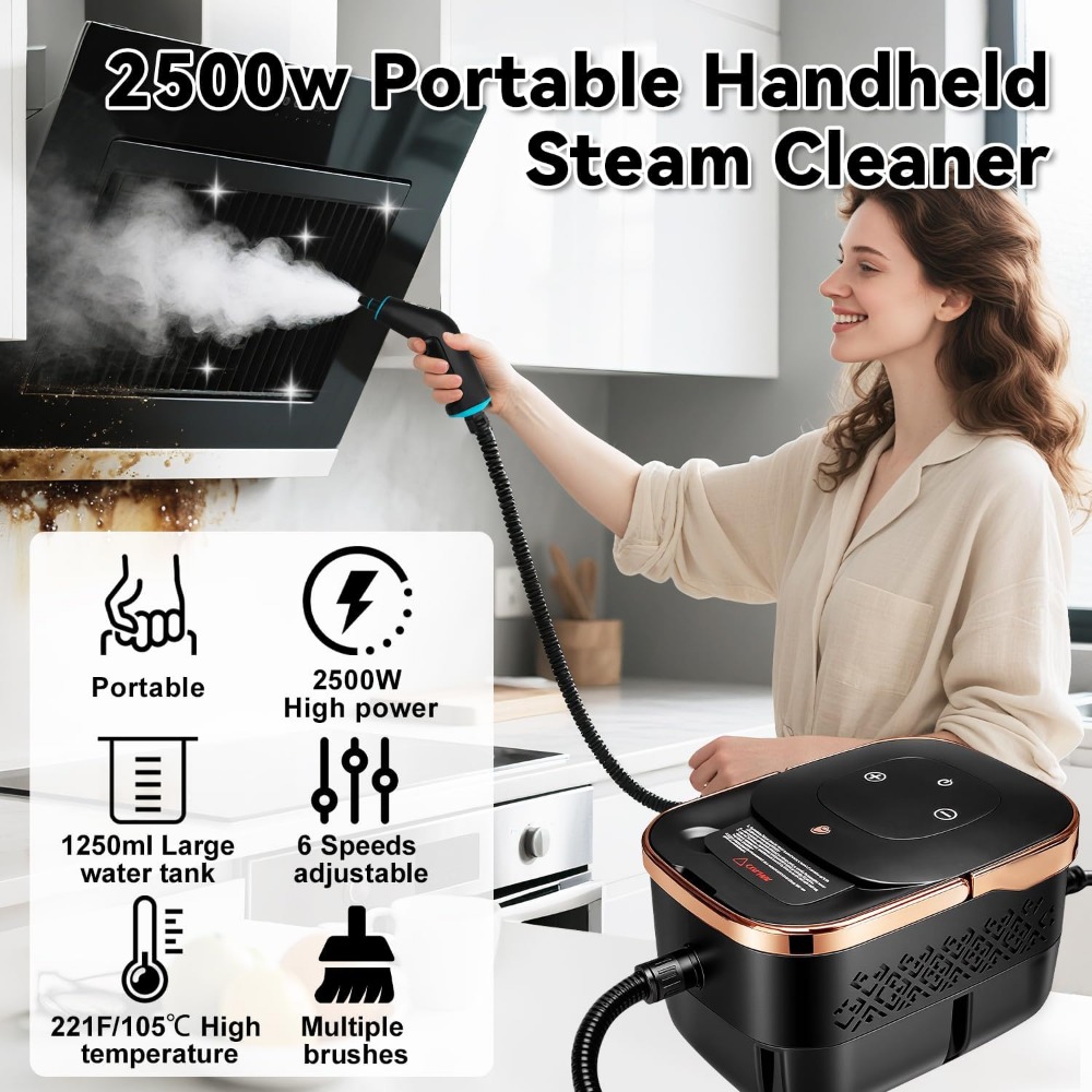 2500W Portable Steam Cleaner,  - Home Bathroom Images recension och pris